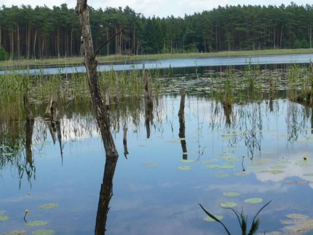 Готель Altes Gutshaus-Federow Екстер'єр фото