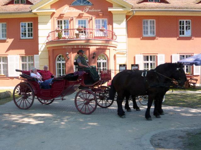 Готель Altes Gutshaus-Federow Екстер'єр фото
